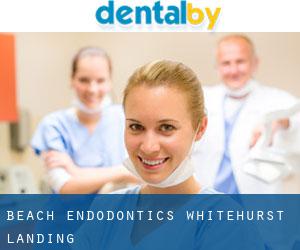 Beach Endodontics (Whitehurst Landing)