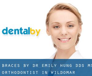 Braces by Dr. Emily Hung DDS, MS, Orthodontist - In Wildomar