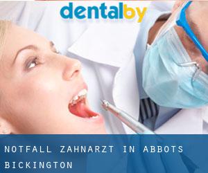 Notfall-Zahnarzt in Abbots Bickington