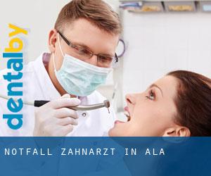 Notfall-Zahnarzt in Ala