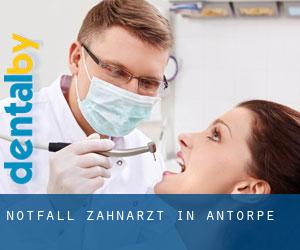 Notfall-Zahnarzt in Antorpe