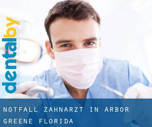 Notfall-Zahnarzt in Arbor Greene (Florida)