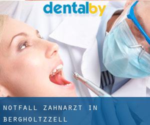 Notfall-Zahnarzt in Bergholtzzell