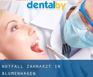 Notfall-Zahnarzt in Blumenhagen