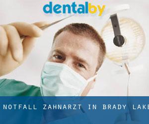Notfall-Zahnarzt in Brady Lake