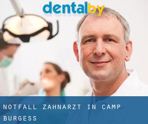 Notfall-Zahnarzt in Camp Burgess