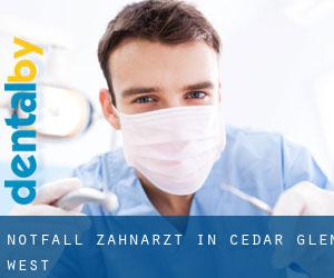 Notfall-Zahnarzt in Cedar Glen West