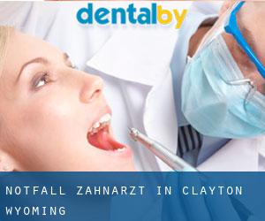 Notfall-Zahnarzt in Clayton (Wyoming)
