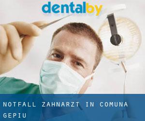 Notfall-Zahnarzt in Comuna Gepiu