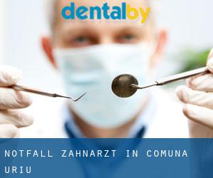 Notfall-Zahnarzt in Comuna Uriu