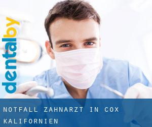 Notfall-Zahnarzt in Cox (Kalifornien)