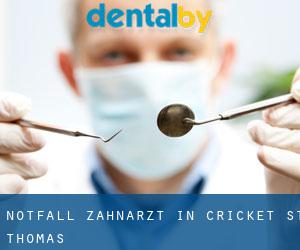 Notfall-Zahnarzt in Cricket St Thomas