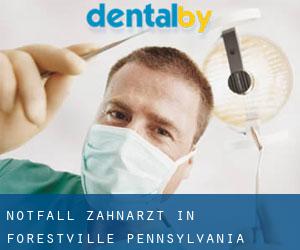 Notfall-Zahnarzt in Forestville (Pennsylvania)