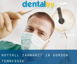 Notfall-Zahnarzt in Gordon (Tennessee)