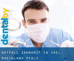 Notfall-Zahnarzt in Igel (Rheinland-Pfalz)