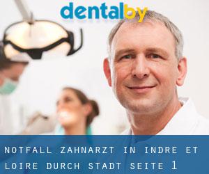 Notfall-Zahnarzt in Indre-et-Loire durch stadt - Seite 1