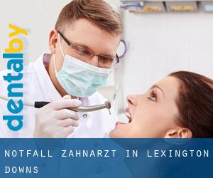 Notfall-Zahnarzt in Lexington Downs