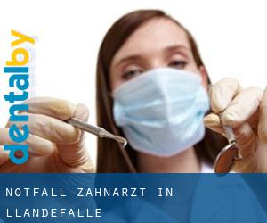 Notfall-Zahnarzt in Llandefalle