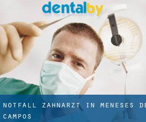 Notfall-Zahnarzt in Meneses de Campos