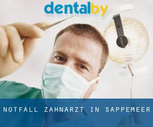 Notfall-Zahnarzt in Sappemeer