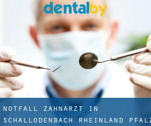 Notfall-Zahnarzt in Schallodenbach (Rheinland-Pfalz)