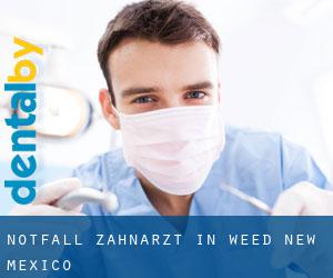 Notfall-Zahnarzt in Weed (New Mexico)