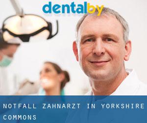 Notfall-Zahnarzt in Yorkshire Commons