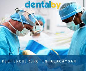 Kieferchirurg in Alacaygan