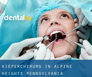 Kieferchirurg in Alpine Heights (Pennsylvania)