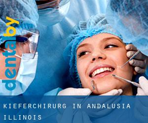 Kieferchirurg in Andalusia (Illinois)