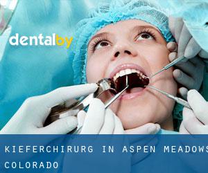 Kieferchirurg in Aspen Meadows (Colorado)