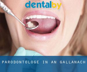 Parodontologe in An Gallanach