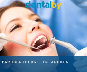 Parodontologe in Andrea