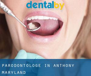 Parodontologe in Anthony (Maryland)