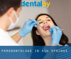 Parodontologe in Ash Springs