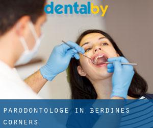 Parodontologe in Berdines Corners