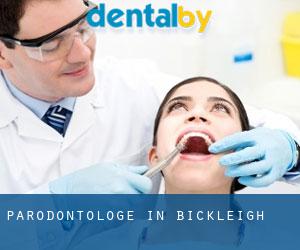 Parodontologe in Bickleigh