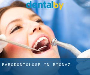 Parodontologe in Bionaz