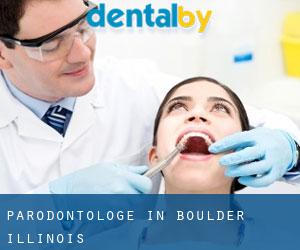 Parodontologe in Boulder (Illinois)