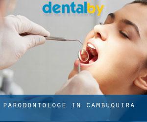 Parodontologe in Cambuquira