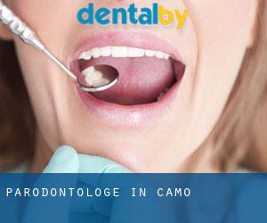 Parodontologe in Camo