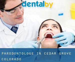 Parodontologe in Cedar Grove (Colorado)