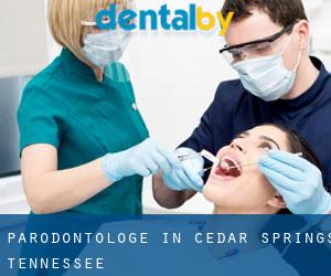 Parodontologe in Cedar Springs (Tennessee)