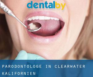 Parodontologe in Clearwater (Kalifornien)