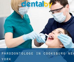Parodontologe in Cooksburg (New York)