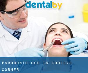 Parodontologe in Cooleys Corner