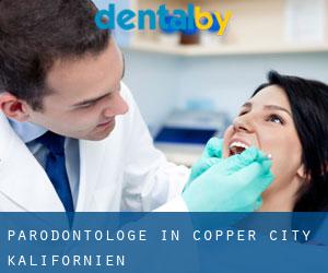 Parodontologe in Copper City (Kalifornien)