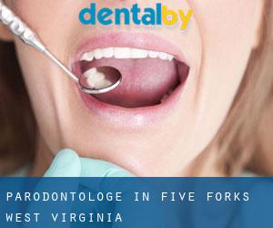 Parodontologe in Five Forks (West Virginia)