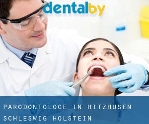Parodontologe in Hitzhusen (Schleswig-Holstein)