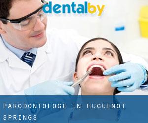 Parodontologe in Huguenot Springs